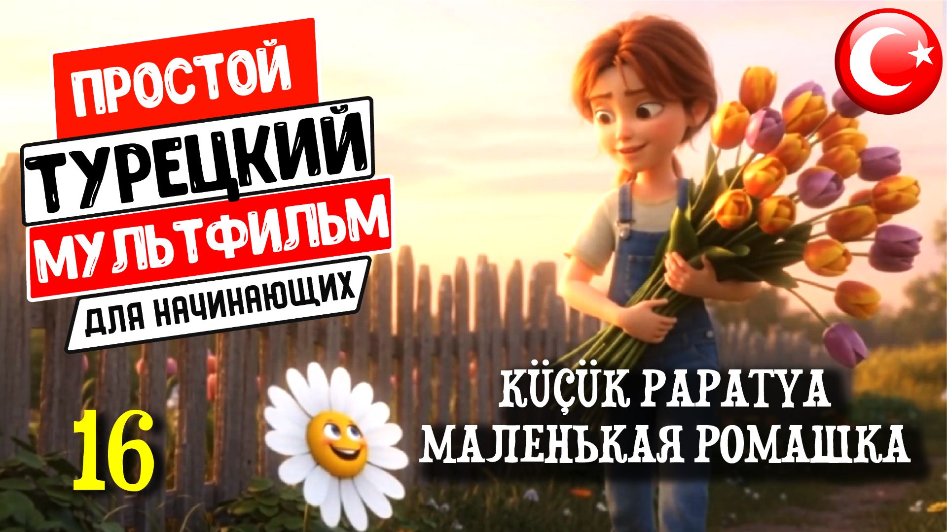 Турецкие истории