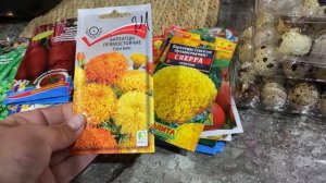 15-03-2026 Новые покупки, как же без цветов !