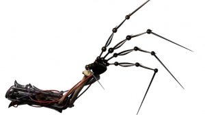 Загадочное похищение конфет у Поппи!