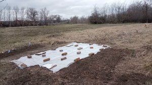 Огородные новости! Посадила яблоню" Ред Чиф "Через пару лет жду урожай. Юг России🌴.