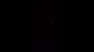 1000000096.mp4