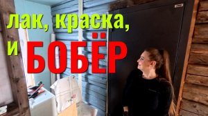 Мы строим, и БОБЁР строит: лак, краска и кадры из фотоловушки.