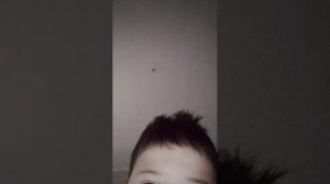 ответы на ваши вопросы