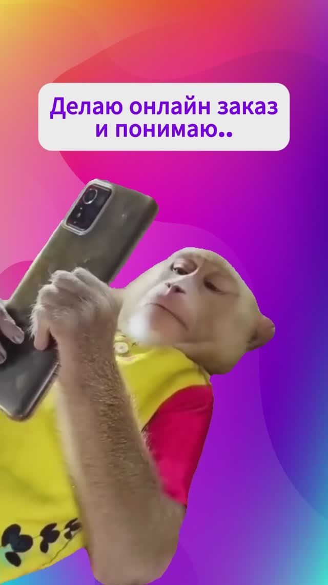 юмор шопинг покупки жизненное
