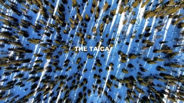 ЯКУТСК - Самый холодный город в мире 64 C якутия