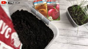 ЗА НИМИ ВСЕ ГОНЯЮТСЯ, А У МЕНЯ УЖЕ ЕСТЬ!