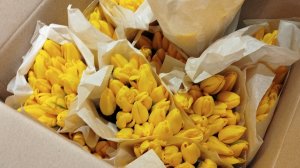 15 марта. Как поживает мой Огород. Хвалю своих  ХЕЙТЕРов. Потомучто я Добрая