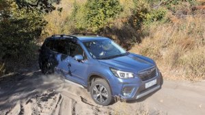 forester sk песок .mp4