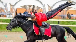 Иппосфера: где встречаются красота, сила и грация» 🐎