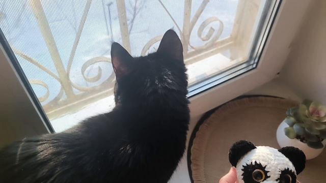 Бешеные крючки 9.0. Неделя 1