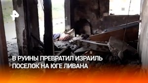 Хара Сайда уничтожена: поселок на юге Ливана разбомбили войска Израиля