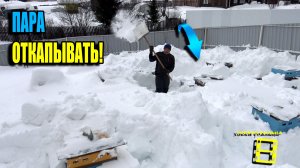 КОГДА ОТКАПЫВАТЬ ПЧЕЛ ИЗ-ПОД СНЕГА ВЕСНОЙ? КОГДА ВЫНОСИТЬ ПЧЕЛ ИЗ ОМШАНИКА? ПЧЕЛОВОДСТВО 26-05