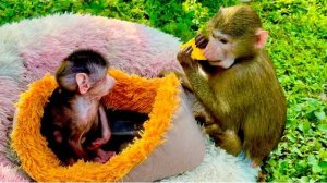 Анфиса так и смотрит что бы спионерить у Николь, но девчонки подружились ❤️