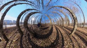 Колпино.Чухонка.Аттракционы.Чухоночные белки в 4К.Или чухонские?