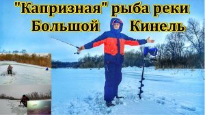 НА РЫБАЛКУ НА Р. БОЛЬШОЙ КИНЕЛЬ/ЛОВЛЯ ХИЩНИКА/РЫБАЛКА НА МОРМЫШКУ/ЛОВЛЯ ОКУНЯ/РЫБАЛКА В САМАРЕ/ВЕСНА