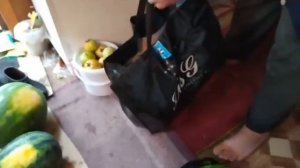 Дача 6 соток. Сегодня будем есть первый арбуз.