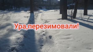 Ура перезимовали!☀️Умеренно увлеклась алкаголем!🥂