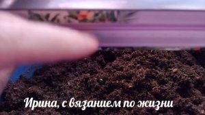 Влог с 9 по 15 марта 2026г