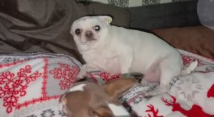 Доброго всем утречка и чудесного начала дня!