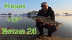 РЫБАЛКА весной 2026 на Москве-реке