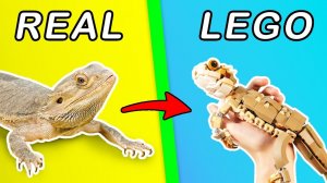 Я собрал ВСЕХ животных из ЛЕГО! Вот что из этого получилось!