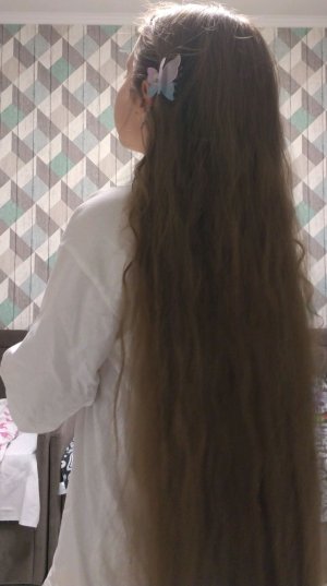 Транслейшен