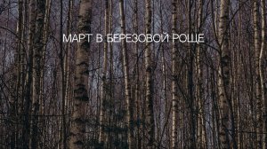 Март в березовой роще