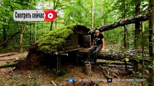 Создал свой лесной рай. Уютное убежище на стволе упавшего дерева