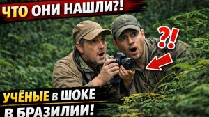 Учёные в Бразилии обнаружили странную птицу с человеческим лицом. Видео уже обсуждают по всему миру…