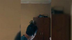 Юмор,приколы,испуг73