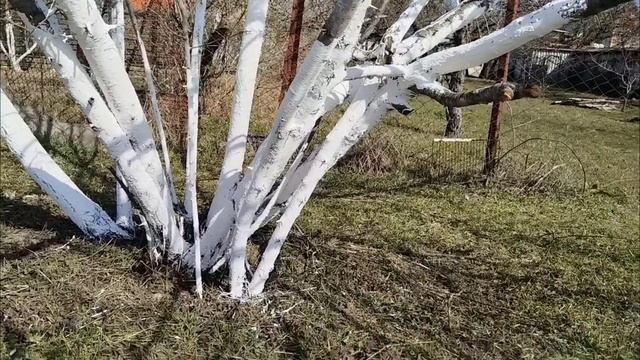 Переехали в дом в ст-цу Голубицкую
дела в в огородее.2026год
