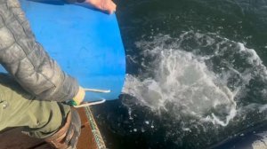 copy_A6C56CC8-F720-46AF-8911-5CEE0DEC2D77