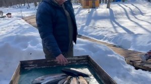 15.03.26 г. РК Волна.