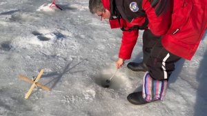 Поимки форели на запуске