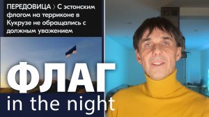 Стих 305. Флаг в ночи, или заставь нацпатриота...