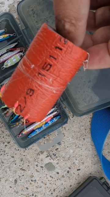 Сарган на пилькер // рыбалка в Сочи