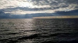 Горе море 2019