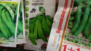 Зашла в магазин. Мне нужны семена кабачков. Астры.