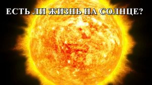 Есть ли жизнь на Солнце?