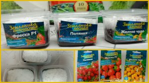 Посев семян земляники по снегу!