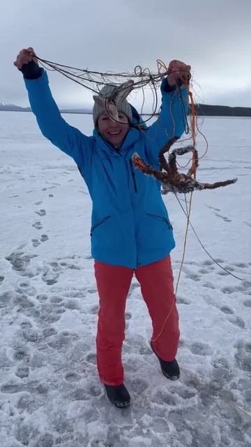 Я почувствовала вибрацию! Крабалка на Сахалине.