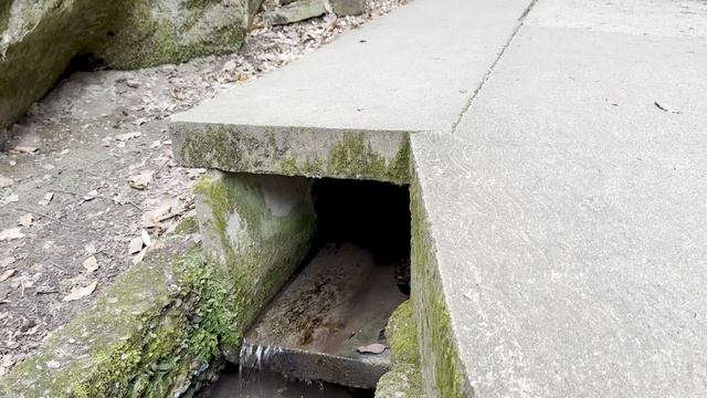 Мелодия из Дантово ущелья