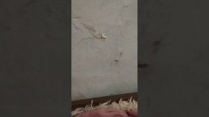 2 часть вечерний влог с 2 реборнами