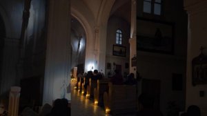 Органный концерт, Сергей Силаевский, собор Успения Пресвятой Девы Марии, Санкт-Петербург