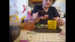 2293.  ВПЛ. Свежая порция грунта под корни перцу.Это очень просто и интересно!