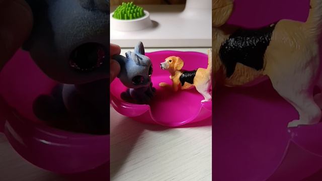 сильвашки-милашки 19 серия. Тяжёлое детство маркиза