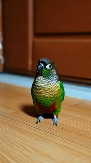 Когда попугай оказался умнее всех