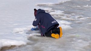 Ловля форели на безлимите РК "Фишка Петряиха"