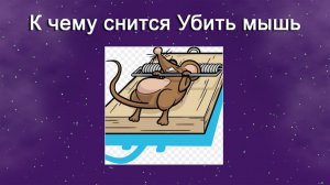 К чему снится Убить мышь - толкование сна