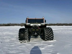 красота на дворе